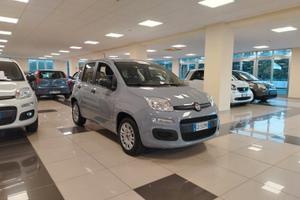 FIAT Panda 3ª serie Panda 1.2 Easy