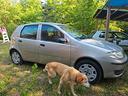 fiat-punto-1-2-5-porte-active-natural-power