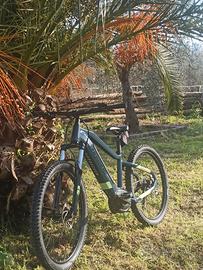 Haibike hard Seven 5.0 2021