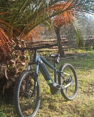 Haibike hard Seven 5.0 2021