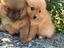 Immagine 2