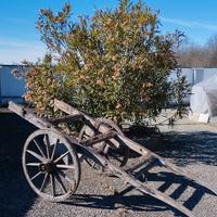 ANTICO CARRO AGRICOLO DUE RUOTE possibile consegna