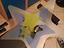Immagine 1