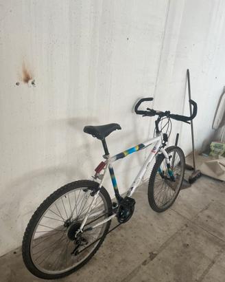 Bicicletta