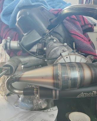Espansione Polini evolution vespa Et3 Special