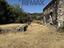 Immagine 14