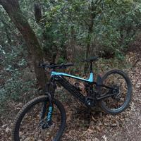 E-MTB