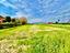 Immagine 29