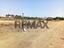 Immagine 12