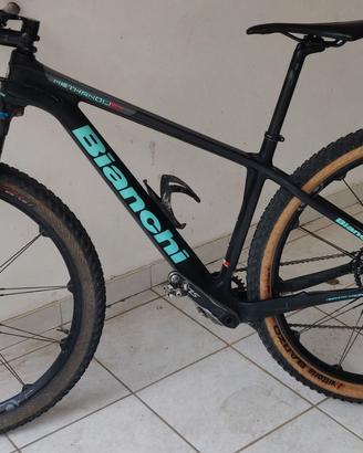 Bianchi Methanol sx