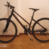 Bicicletta Focus in carbonio