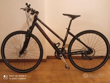 Bicicletta Focus in carbonio