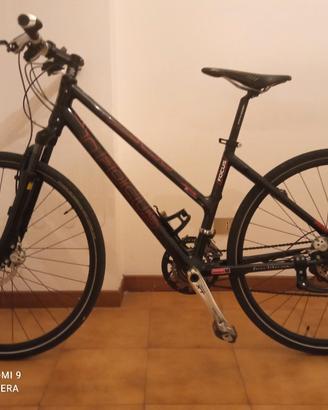 Bicicletta Focus in carbonio