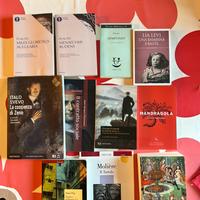 Libri scolastici e classici