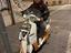 Immagine 5