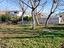 Immagine 10