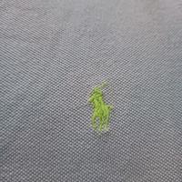 Polo da uomo Ralph Lauren azzurro XL