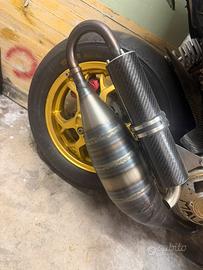 Marmitta per testa rossa