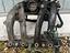 Immagine 5