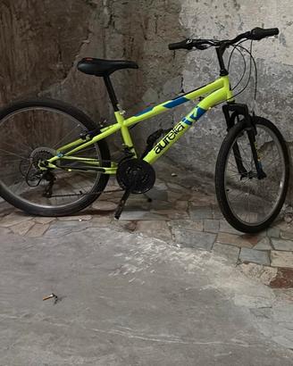 Mountain bike