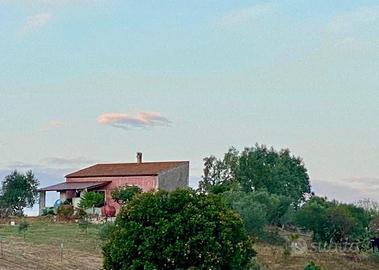 Terreno agricolo+Ulivi+casetta+2pozzi
