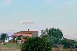 Terreno agricolo+Ulivi+casetta+2pozzi