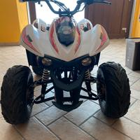 Mini Quad 110cc