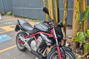 kawasaki er6n euro 3 er 6n