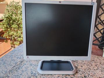 Monitor HP 19'' usato