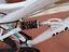 Immagine 5