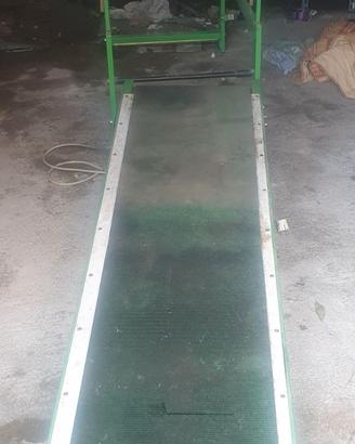 Tapis roulant per cani