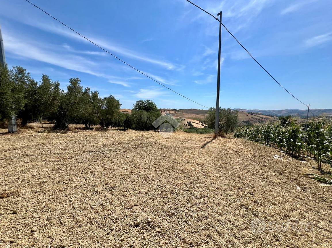 TERRENO A MOSCIANO SANT'ANGELO - Vista 3