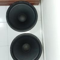 coppia di woofer celestion tf1525