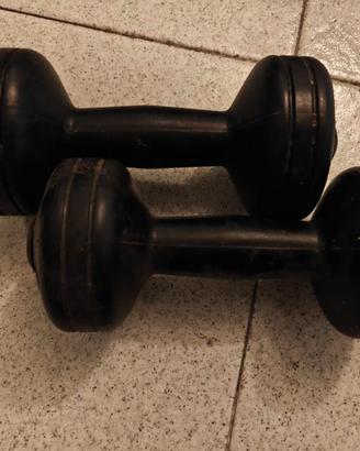 Coppia di manubri da fitness in plastica  1,5 kg