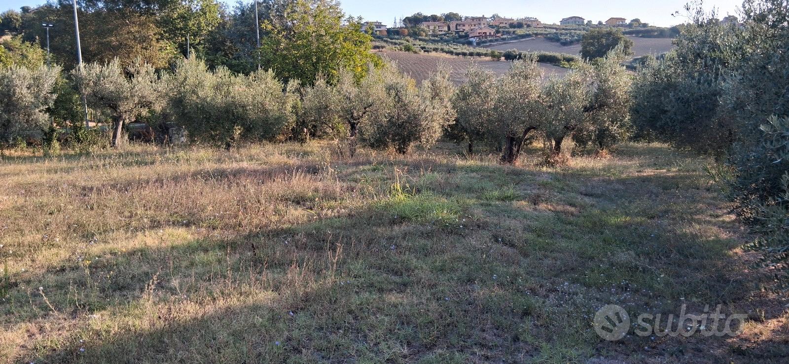 Il terreno per la tua nuova villetta nel cuore del - Vista 5