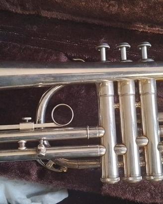 Cornetta Yamaha Ycr 2310