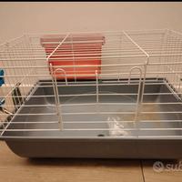 gabbia coniglio nano usata 2 mesi 