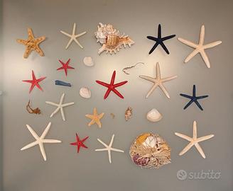 Conchiglie ornamentali