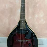 Mandolino Elettrificato BENSON