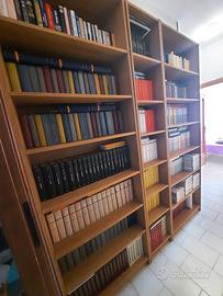 collezione  romanzi e classici  401 volumi