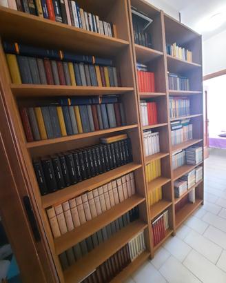 collezione  romanzi e classici  401 volumi