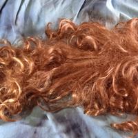 coda capelli colore rame chiaro