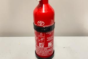 ESTINTORE PER AUTO