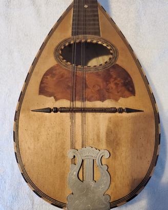 Mandolino del inizio 1900