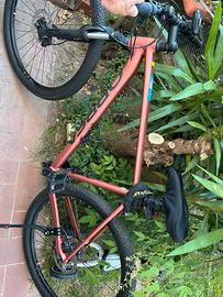 Orbea mountain bike
