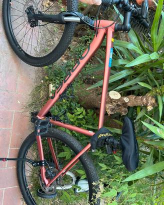 Orbea mountain bike