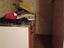 Immagine 17