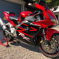 Cbr rr fireblade 954 del 2002