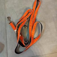 Longhina 10 metri cane 