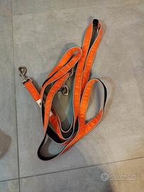 Longhina 10 metri cane 